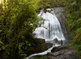 Legado das Águas terá três edições especiais Reserva coloca o público em contato com a Mata Atlântica. Foto: Divulgação