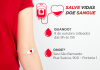 Sesi São Bernardo promove campanha de doação de sangue Ação é promovida pela ONG Amor se Doa em parceria com o Sesi, Banco de Sangue Paulista e H. Hemo Hemoterapia Brasil. Arte: Divulgação