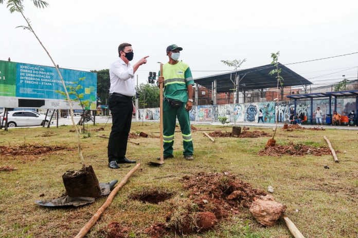 Após entregar novo sistema viário na região, Prefeito Orlando Morando acompanhou a continuidade de programa de arborização de seu entorno. Foto: Gabriel Inamine/PMSBC