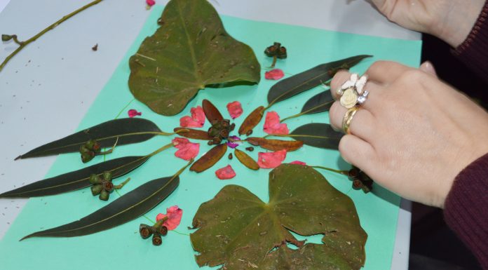 Semasa oferece atividades infantis neste sábado Oficina com elementos naturais. Foto: Divulgação/Semasa