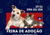 Singular apoia a feira de adoção animal andreense Evento estava suspenso por conta da pandemia. Arte: DIivulgação