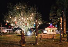 Natal de Monte Verde (MG) promete ser o maior da história do distrito Floresta encantada. Foto: Divulgação