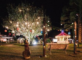 Natal de Monte Verde (MG) promete ser o maior da história do distrito Floresta encantada. Foto: Divulgação