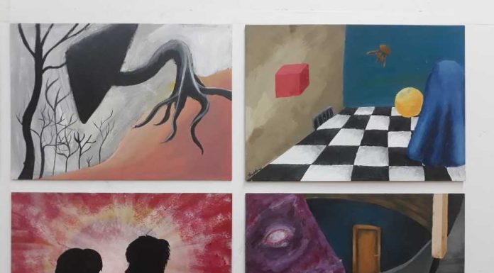 Mostra de Artes Visuais expõe grandes trabalhos Exposição conta com dezenas de artes. Foto: Divulgação/FASCS
