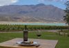 Rotas de vinhos para todos os gostos Ao longo de mais de 2.000 quilômetros, as rotas vinícolas da Argentina são um show e o espetáculo da colheita começa em fevereiro. Foto: Divulgação