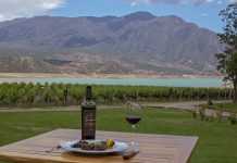 Rotas de vinhos para todos os gostos Ao longo de mais de 2.000 quilômetros, as rotas vinícolas da Argentina são um show e o espetáculo da colheita começa em fevereiro. Foto: Divulgação