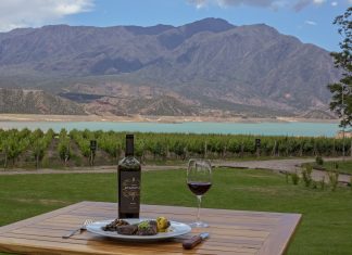 Rotas de vinhos para todos os gostos Ao longo de mais de 2.000 quilômetros, as rotas vinícolas da Argentina são um show e o espetáculo da colheita começa em fevereiro. Foto: Divulgação