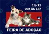 Feira de adoção animal acontece neste sábado Evento terá participação do Colégio Singular, OAB e protetores independentes. Arte: Divulgação