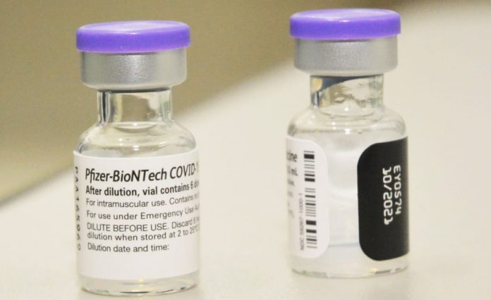 Vacinas da Pfizer serão aplicadas em público de 5 a 11 anos. Foto: Angelo Baima/PSA