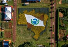 Retomada gera resultados positivos Com a retomada, 34ª edição do Show Rural Coopavel bateu recorde de público. Foto: Divulgação