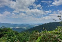Parque Caminhos do Mar abre nova trilha Trilha Cachoeira da Torre - Parque Caminhos do Mar. Foto: Danieli Mendes