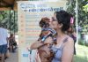 Pets tiveram um final feliz Edição da feira "Eu amo, eu adoto" deste sábado resultou em 11 animais adotados, entre adultos e filhotes. Foto: Alex Cavanha/PSA