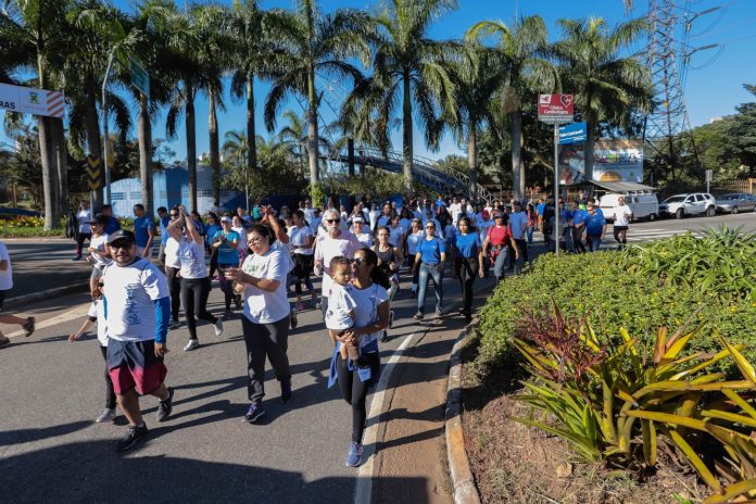 Caminhada retorna depois de dois anos suspensa por conta das restrições da pandemia. Foto: Divulgação/PSA