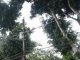Mais Luz no Jardim Pinheiros Investimento nesta etapa do projeto será de R$ 236 mil; troca por LED gera mais segurança, eficiência e economia. Foto: Gabriel Inamine/PMSBC