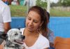 Castramóvel atende novo local nesta semana Já foram mais de 450 animais beneficiados com o equipamento municipal. Foto: Divulgação/PMETRP