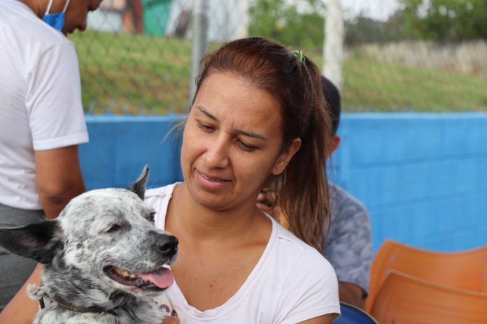 Já foram mais de 450 animais beneficiados com o equipamento municipal. Foto: Divulgação/PMETRP