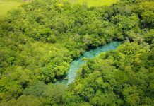 Conheça o melhor do ecoturismo no Mato Grosso do Sul Nascente Azul - flutuação. Foto: Divulgação / Nascente Azul