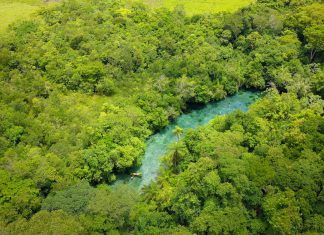 Conheça o melhor do ecoturismo no Mato Grosso do Sul Nascente Azul - flutuação. Foto: Divulgação / Nascente Azul