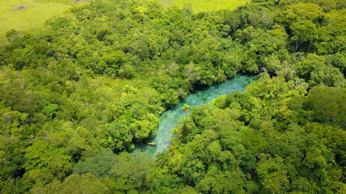 Nascente Azul - flutuação. Foto: Divulgação / Nascente Azul