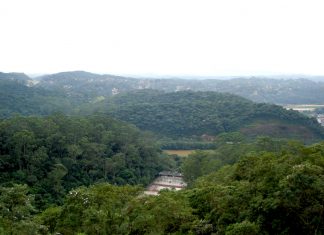 Semasa promove trilha ambiental no Parque do Pedroso