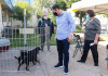 São Bernardo realiza feira de adoção de pets neste sábado