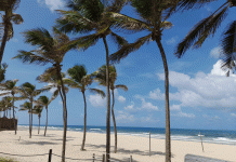 Quando o destino é sol e praia, o Brasil é o segundo destinos preferidos pelos americanos
