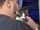Feira “Eu amo, eu adoto” garante lar para 31 animais