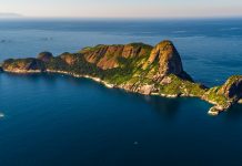 5 roteiros para se conectar à biodiversidade do Litoral Norte