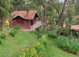 Férias em meio ao verde na mata da Serra da Mantiqueira