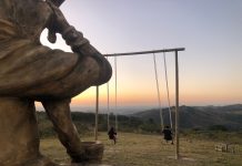 Fazenda Chapadão realiza primeira feira canina com palestra e sorteio