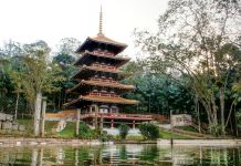 Torre de Miroku retoma passeios com saída do Parque Oriental