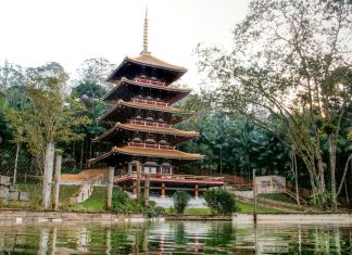 Torre de Miroku retoma passeios com saída do Parque Oriental