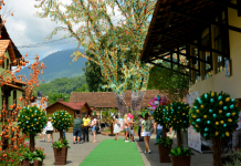 Saiba quais são os principais eventos de turismo para o mês de março