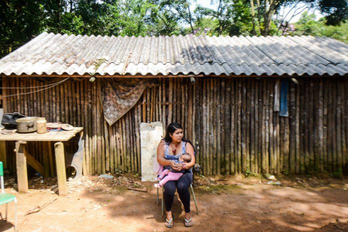 São Bernardo lança programa de Sistemas Agroflorestais em aldeias indígenas