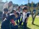 Estudantes aprendem sobre armadilhas da dengue