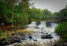 Turismo em SP pode movimentar R$ 900 milhões a mais com dia das mães