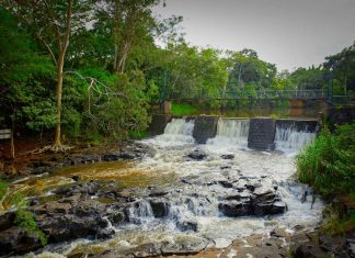 Turismo em SP pode movimentar R$ 900 milhões a mais com dia das mães