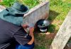 Ribeirão Pires instala armadilhas contra dengue no Cemitério Municipal