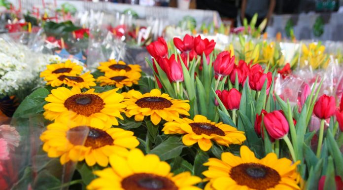 Mercado de Flores da Craisa é opção para compras do Dia das Mães