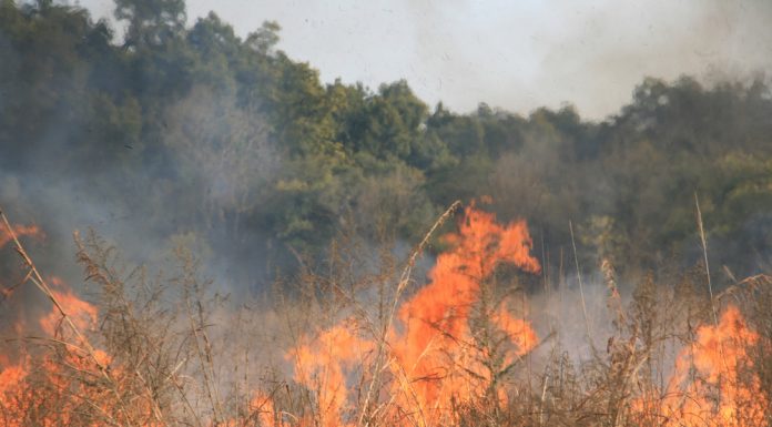 Defesa Civil do Estado recomenda cuidados contra os incêndios florestais e com a saúde da população