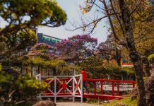 Festival Oriental celebra centenário da imigração japonesa a Ribeirão Pires