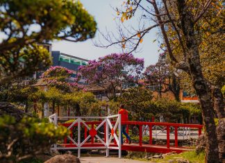 Festival Oriental celebra centenário da imigração japonesa a Ribeirão Pires