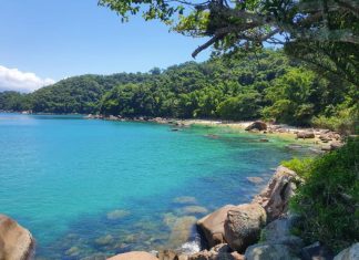 Dia Mundial do Turismo: SP projeta giro de R$ 276 bi para o setor em 2023