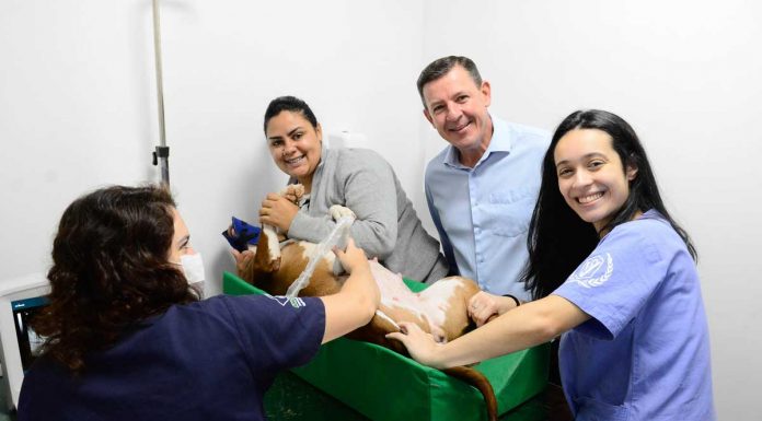 Hospital veterinário de São Bernardo completa um mês com 551 animais atendidos