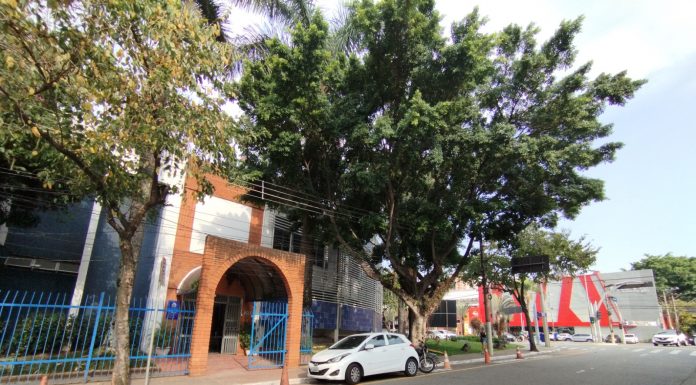 São Caetano abre edital para artistas atuarem nas Festividades Natalinas