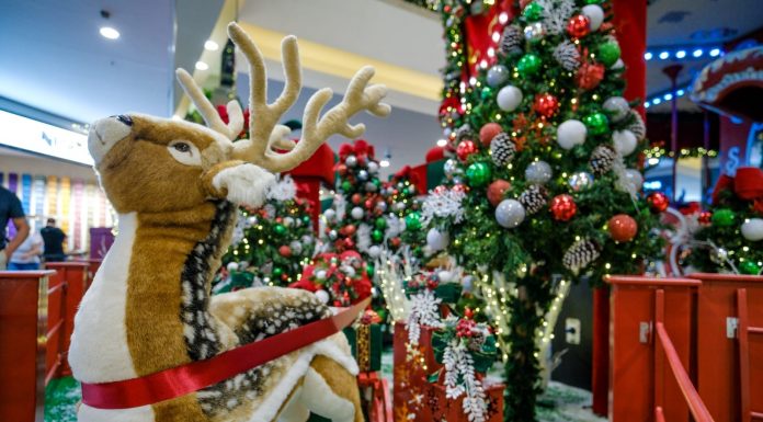 “Passeio pelas Vitrines de Natal” – ainda dá tempo de visitar a decoração de Natal do ParkShopping São Caetano