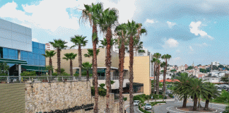 Caminhada em homenagem ao Dia Internacional das Mulheres, no ParkShopping São Caetano, dia 9 de março, domingo