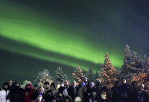 Brasileiros enfrentam frio extremo no Ártico e especialista explica como manter a segurança