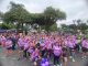 Caminhada Mulher Determinada será neste domingo em São Caetano