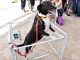 Feira disponibiliza 169 animais para adoção em Santo André